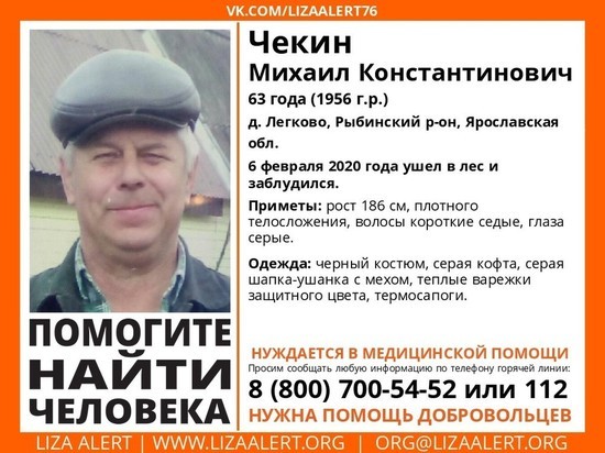 В Рыбинском районе ищут пенсионера