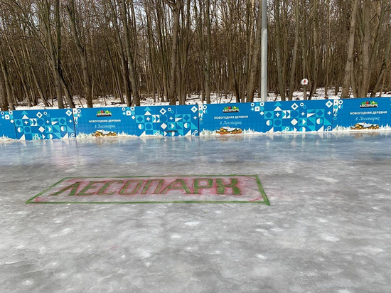 В рязанском Лесопарке заработал каток