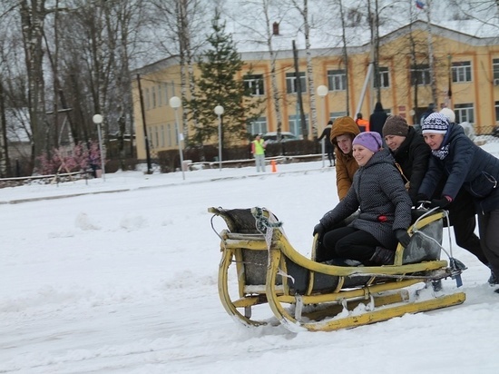 Зимняя пчелиада принимала гостей