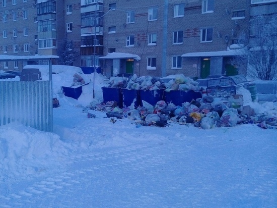 Жители Ноябрьска пожаловались на мусорный апокалипсис