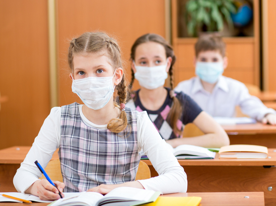 Почти 200 школ закрыли в Забайкалье из-за эпидемии вирусных болезней