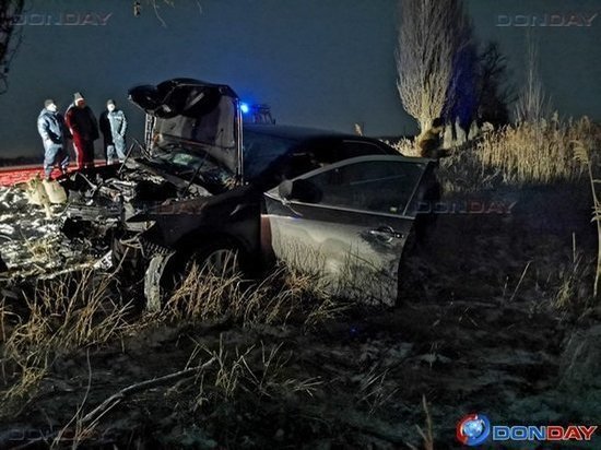 На трассе в Ростовской области водитель погиб, врезавшись на авто в дерево