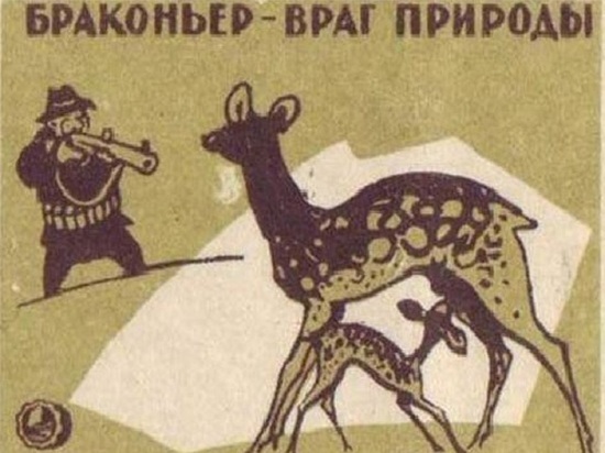 Красносельские полицейские взяли браконьера с поличным