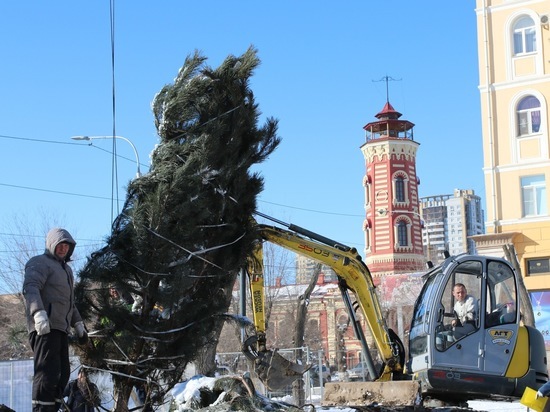 В Александровском сквере Волгограда обустраивают «Русский лес»