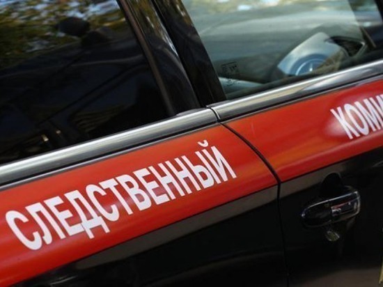 Заявление о нападении на девочку в Чите оказалось ложным