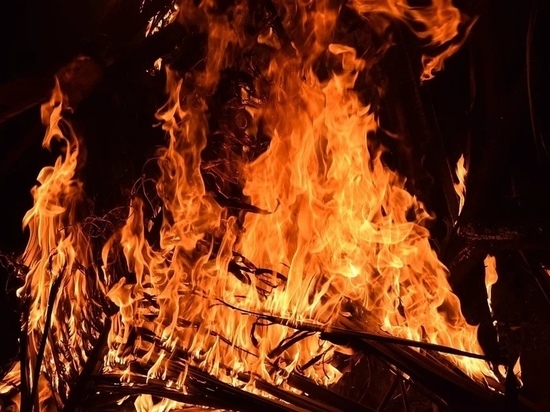Иномарка и три гаража сгорели при пожаре в Пскове