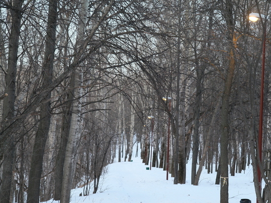 Парк «Швейцария» в Нижнем Новгороде будут защищать от строительства