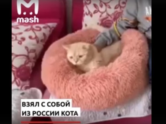 Китай не выпустил в Забайкалье двоих россиян с котом Пипито