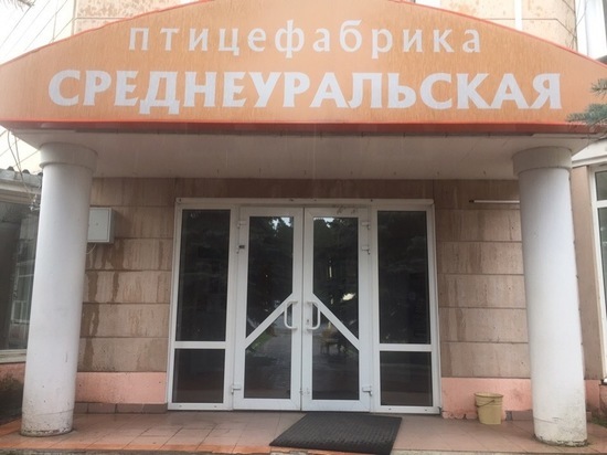 Суд приостановил деятельность птицефабрики «Среднеуральская»