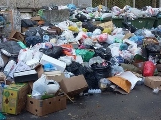 "Чистому городу" объявлено предостережение из нарушений при вывозе ТКО
