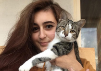 Породистые и дворовые, с пушистыми хвостами и вислоухими ушами — кошки в доме у 22-летней Ани Бахановской бывают разные