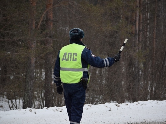 Водитель из Московской области пытался дать взятку "гаишнику"