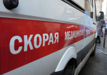 Домашний террор устроил больной шизофренией 24-летний москвич своим родным — 14 февраля в квартире на Лениградском шоссе он напал с ножом на мать и ранил деда и бабушку, прибежавшего на помощь