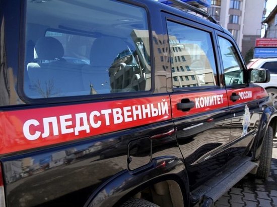 Следователи начали проверку из-за страшных предложений детям в Тверской области