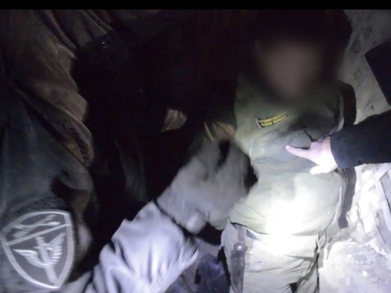 Видео оперативного задержания лесничего в Забайкалье опубликовало УМВД