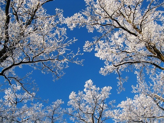 Сегодня: что будет происходить в Карелии в понедельник, 17 февраля