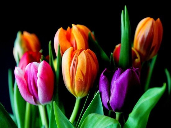 Места под торговлю цветами определили в Хабаровске