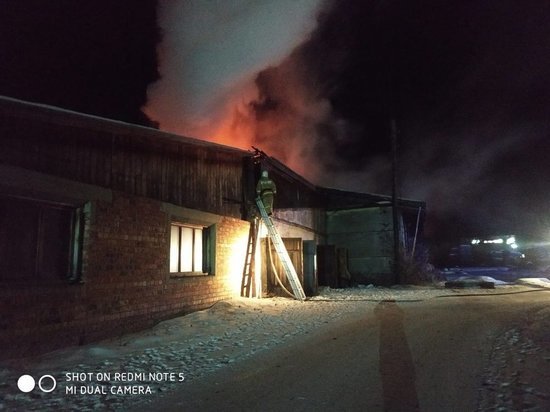 Пилорама сгорела в посёлке Пивовариха