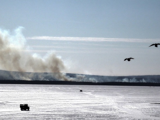 Отжиг приняли за природный пожар на берегу Ивана в Читинском районе