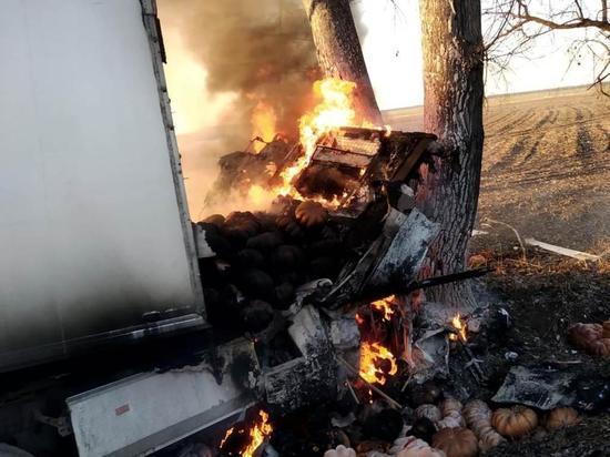 Фура на Кубани врезалась в дерево и загорелась из-за лопнувшего колеса