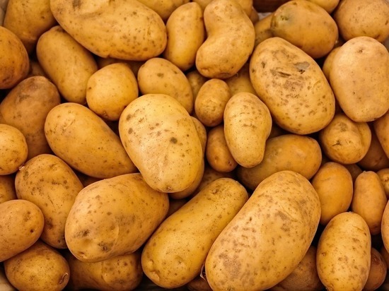 Житель Стулово продавал в интернете картофель и потерял 180 тысяч