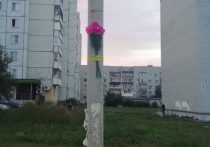 4 августа 2019 года в Новоалтайске водитель сбил насмерть 27-летнего парня