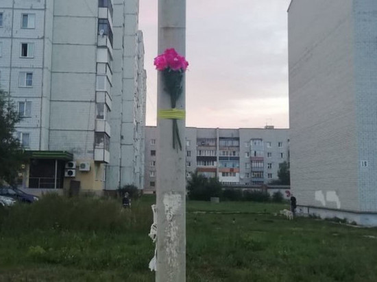  Почему в Новоалтайске «замяли» дело о сбитом насмерть пешеходе