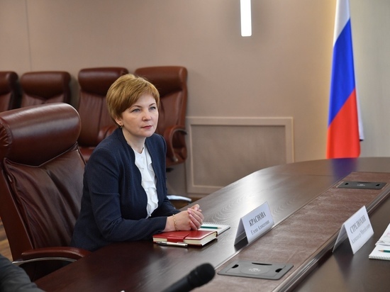 Новый руководитель УФНС по Саратовской области Елена Краснова и губернатор Валерий Радаев хотят увеличить собираемость налогов