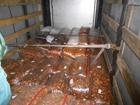 В Оренбуржье пытались провезти 123 тонны запрещенной продукции
