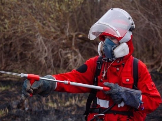 Тамбовчанка стала добровольным лесным пожарным