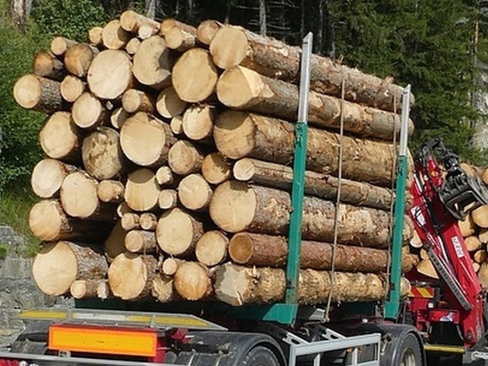 Карельская компания вывозила лес в Финляндию без необходимых документов