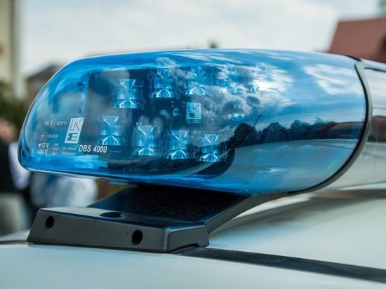 Дочь экс-начальника транспорта Хабаровска обвиняют в педофилии