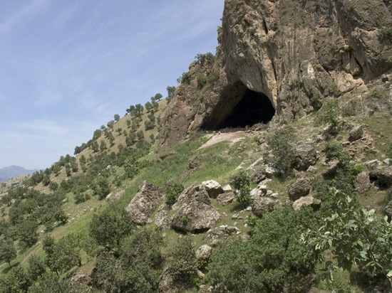 В пещерном кладбище неандертальцев обнаружена новая «цветочная могила»