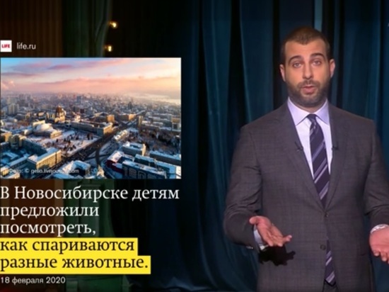 Новосибирск, Ургант и секс: мы снова «засветились» на Первом канале