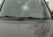 Неоднократно судимый 33-летний местный житель сначала ударил по ветровому стеклу кулаками, а потом залез на крышу автомобиля и начал прыгать на ней