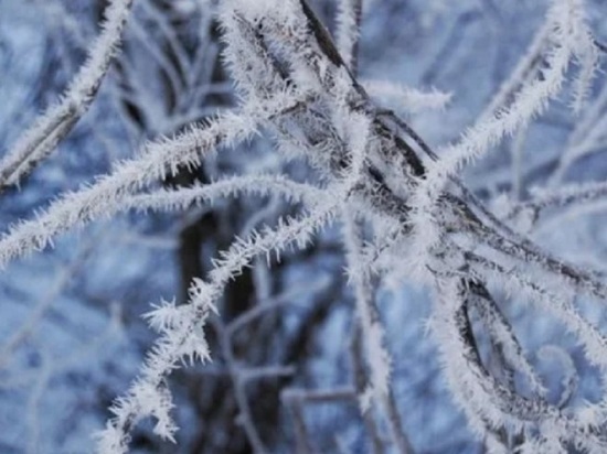 В Ярославскую область морозы придут в марте
