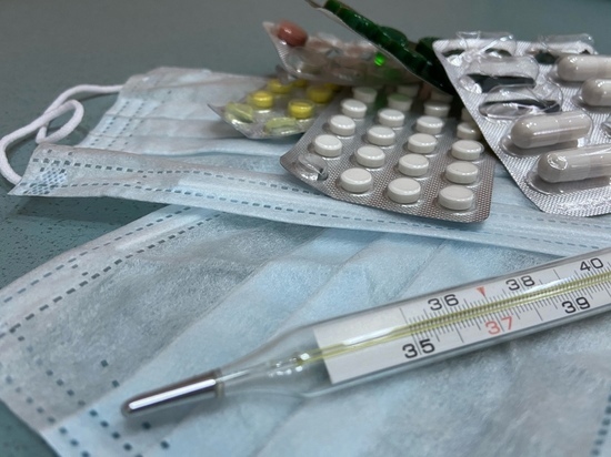 С 10 по 16 февраля в Вологде зарегистрировано почти 6300 случаев ОРВИ и 50 гриппа