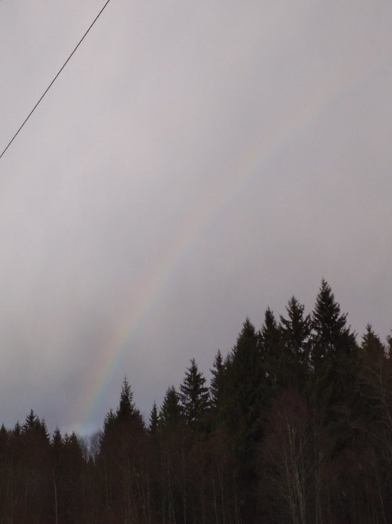 В Тверской области сфотографировали февральскую радугу