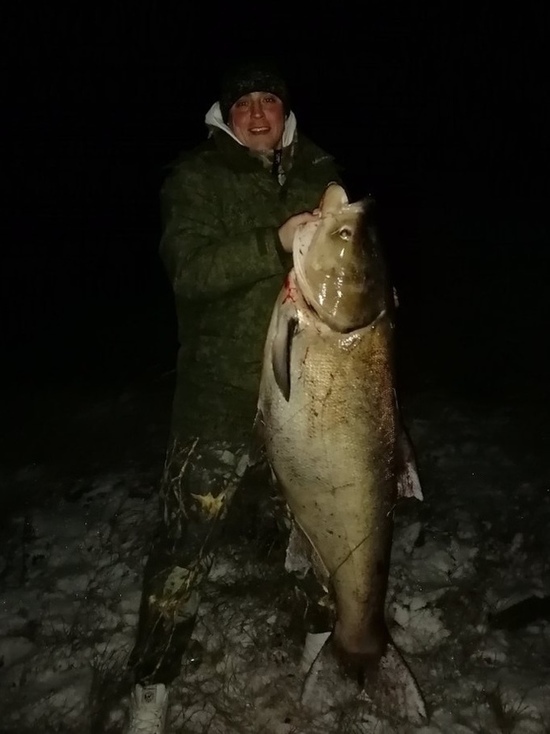 В Тверской области рыбак поймал гигантского толстолоба