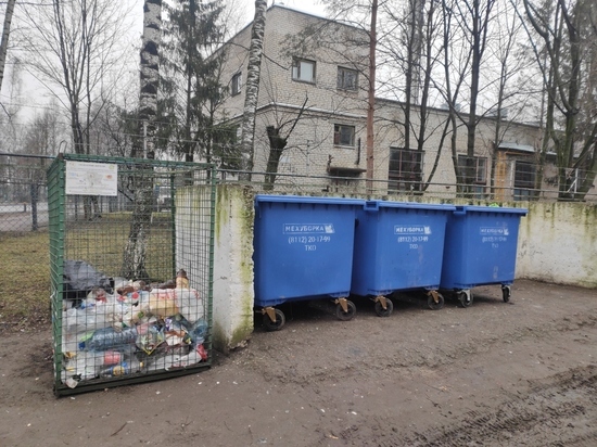 Более 20 дополнительных сеток для пластика появились в Пскове