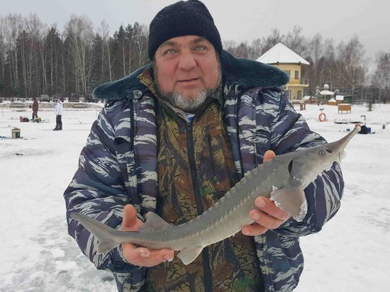 Один из серпуховских прудов признали лучшим для рыбалки в Подмосковье