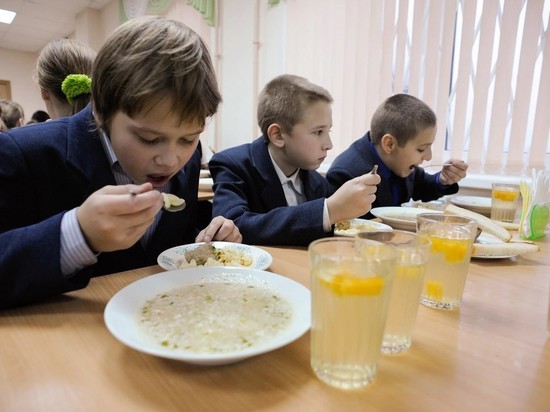 Госдума приняла закон о горячем питании школьников с учетом предложения донских депутатов