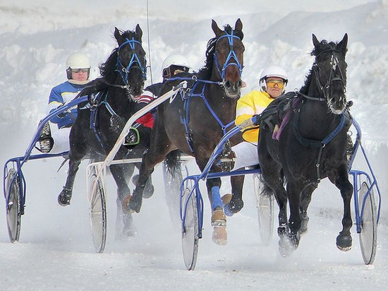 В Чебоксарах пройдут конные бега «Ледяной кубок -2020»