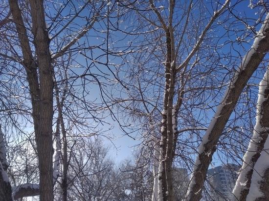 В конце февраля в Новосибирске зачем-то похолодает