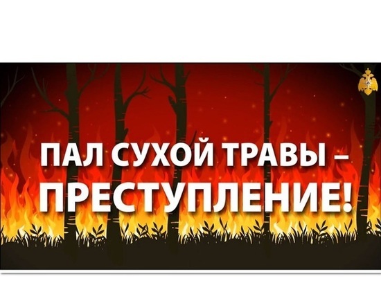 В Ивановской области половодья не будет, а вот лесные пожары ожидаются
