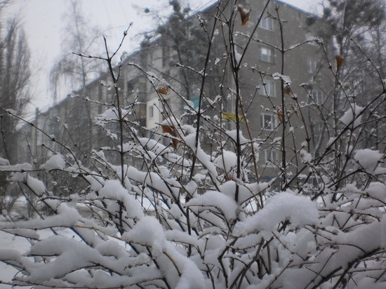 В Костромскую область вернулась зима, регион накрыл снежный циклон