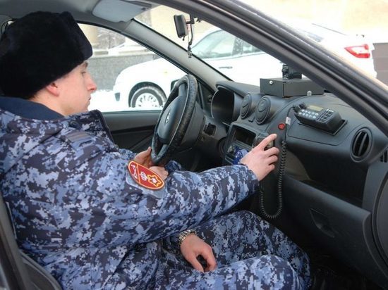 В Слободском нашли похитителей хаски