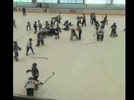 В Тольятти 11-летние хоккеисты устроили побоище после матча