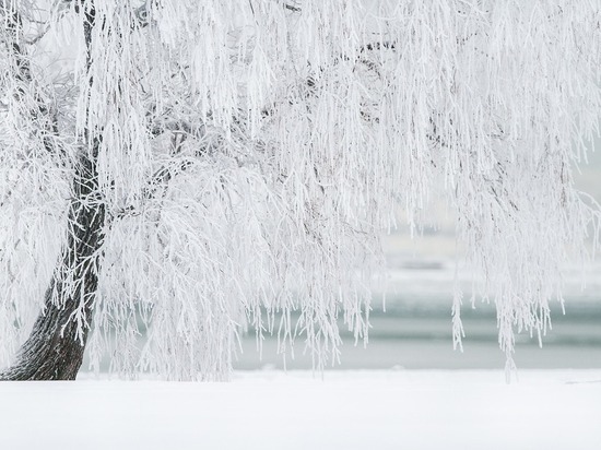 Остаток февраля в Кирове будет снежным и пасмурным