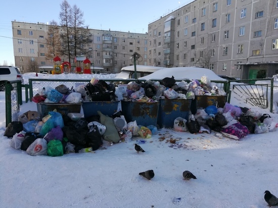 Горы мусора в Ноябрьске вывезли после жалоб в соцсети